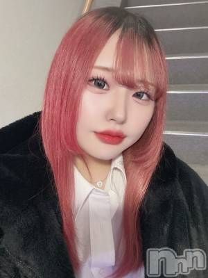 ʥå륺СLAPLUS(ץ饹) 326̥֥֤ε