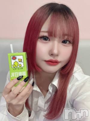 ʥå륺СLAPLUS(ץ饹) 331̥֥֤äѤǤޤ