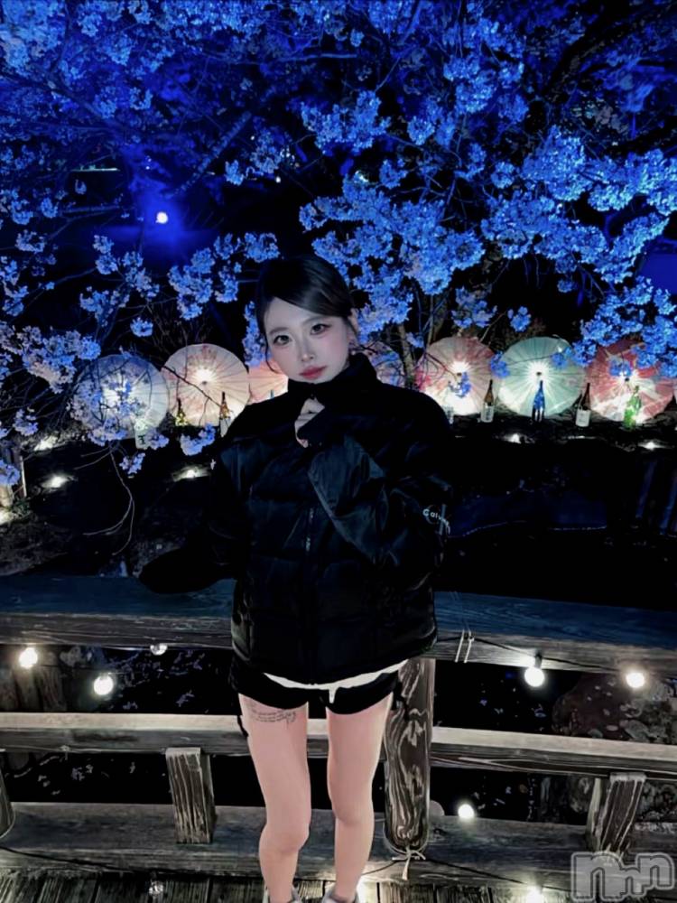 �����������Х��顦�����CLUB ALBATROSS(����Хȥ���) ��������4��12���̥�֥�����💗🌸🩷��