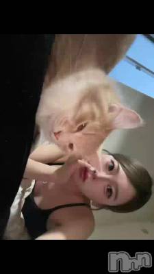 🐈🐾🐈‍⬛🌟