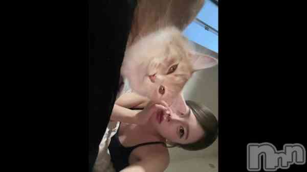 ��🐈🐾🐈‍⬛🌟��