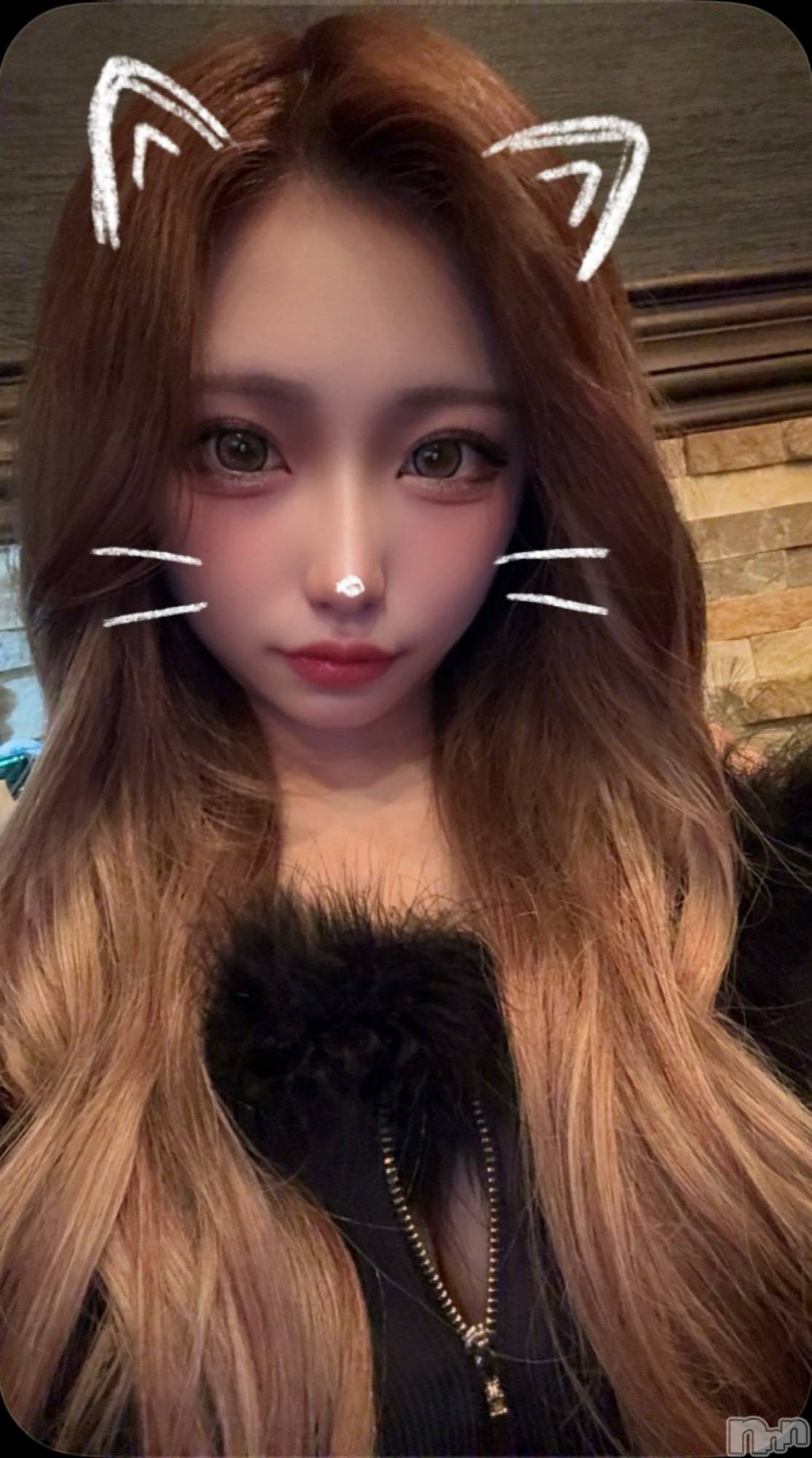 ��ȯ�ĥ���Х��顦�����REBIVE(��Х���) ��2026ǯ4��2���̥�֥����֤����ؤ��