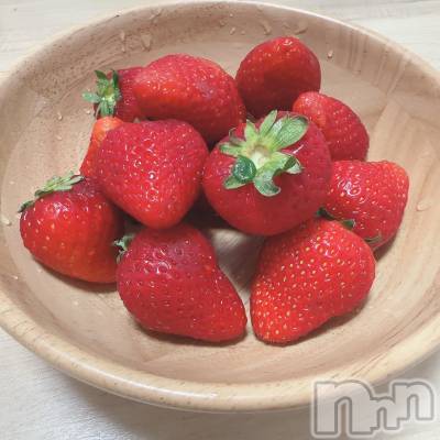 Įʥå륺СPersephone(ڥ륻ݥ) 椦314̥֥īϤϤ🍓