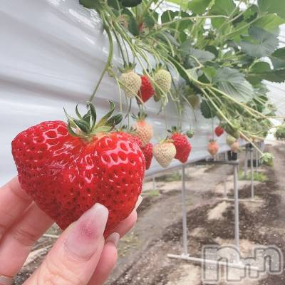 Įʥå륺СPersephone(ڥ륻ݥ) 椦411̥֥💓🍓