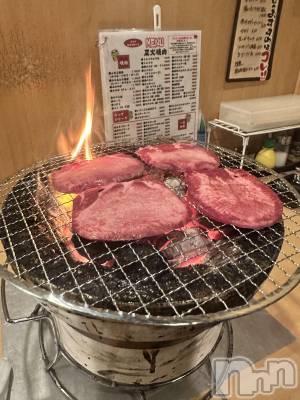 Įʥå륺СPersephone(ڥ륻ݥ) 椦1031̥֥֤δ֤🥩