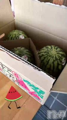 🍉☀️