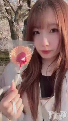 ߤǤ硩
