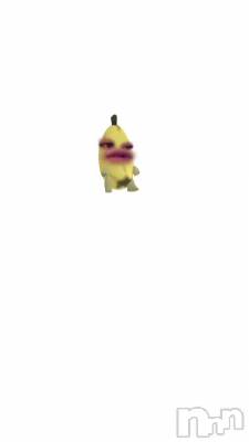ŤƤ