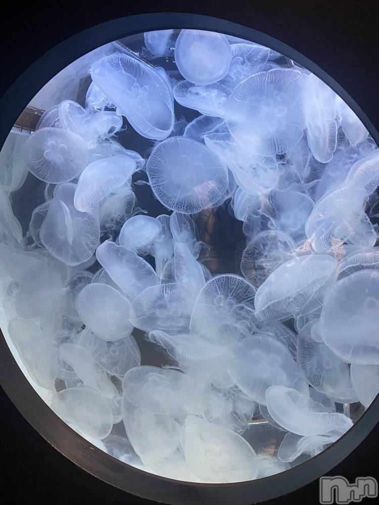 ��ë����Х��顦�����CLUB��Paladin(����֡��ѥ�ǥ���) ���ʤ�4��9���̥�֥�����🩵ྀི🪼ྀི🩵ྀི��