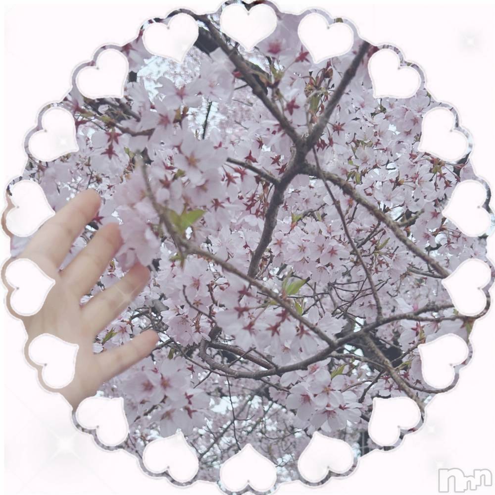 ��ë����Х��顦�����CLUB��Paladin(����֡��ѥ�ǥ���) ���ʤ�4��20���̥�֥�����🌸🫧��