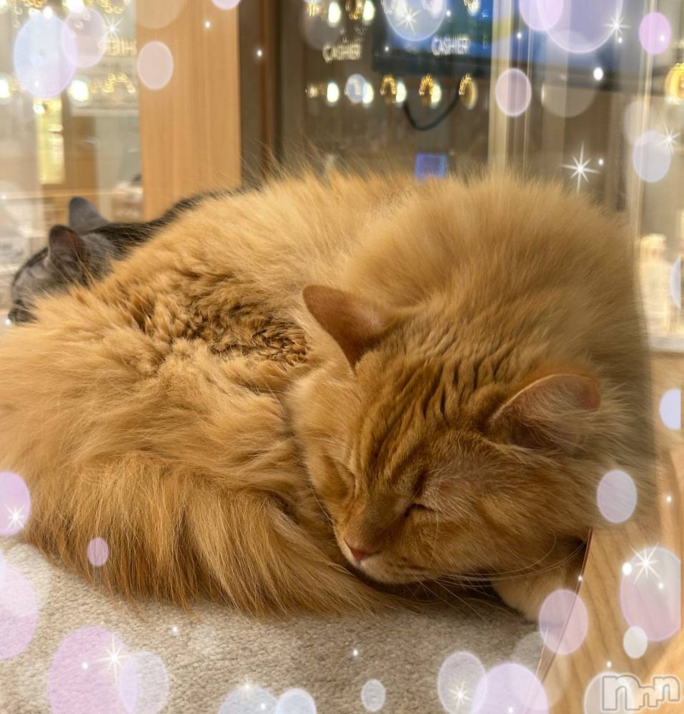 ��ë����Х��顦�����CLUB��Paladin(����֡��ѥ�ǥ���) ���ʤ�12��23���̥�֥����֤��ä�😭��