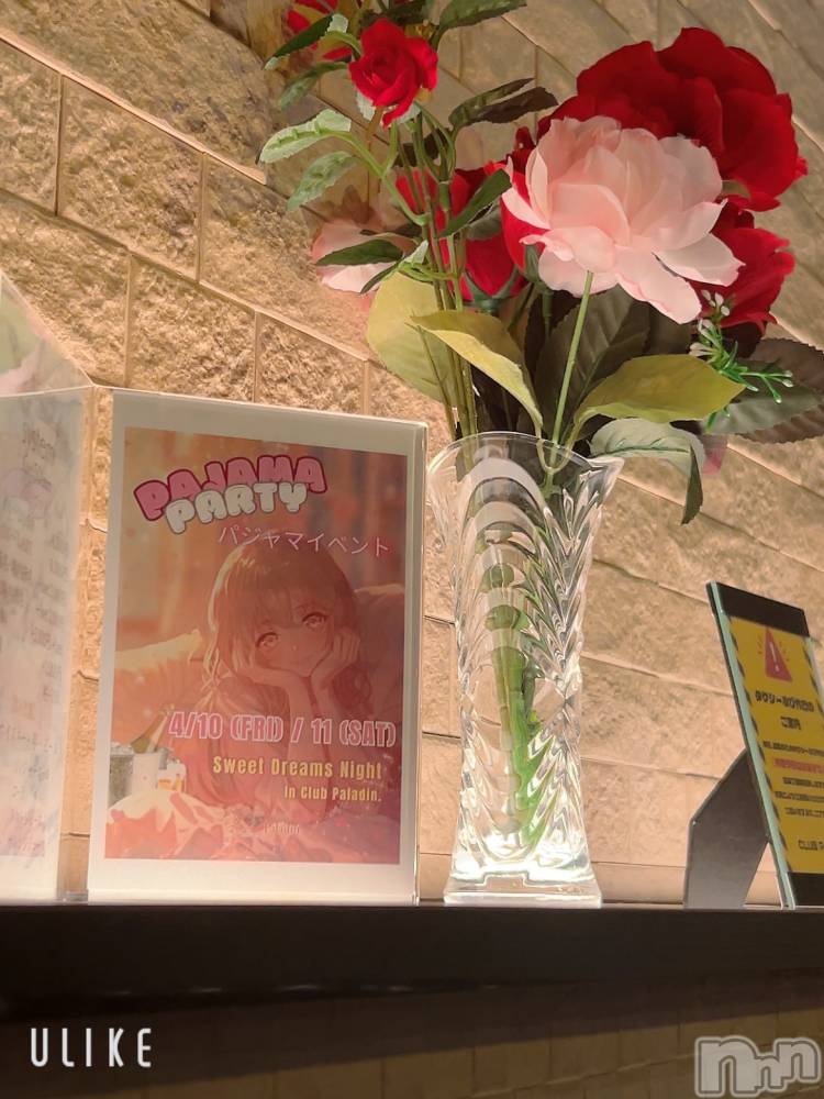 ��ë����Х��顦�����CLUB��Paladin(����֡��ѥ�ǥ���) ���ʤ�4��11���̥�֥�����✌️��