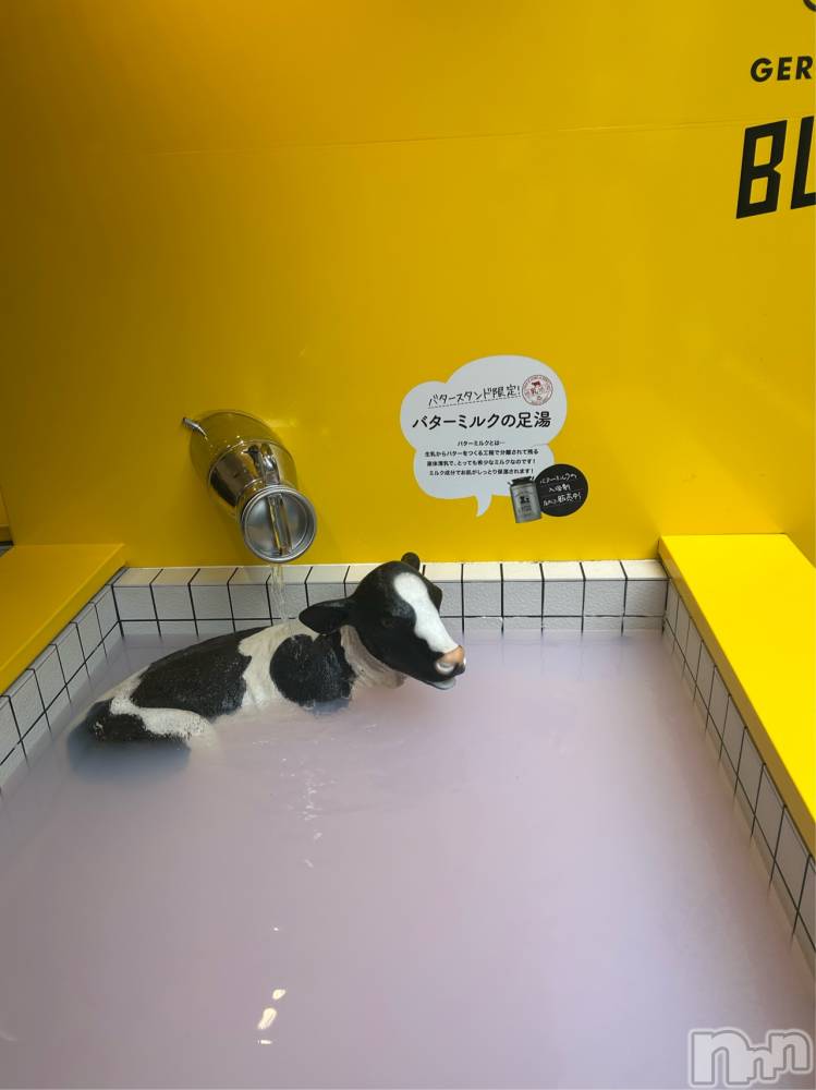 ��ë����Х��顦�����CLUB��Paladin(����֡��ѥ�ǥ���) ���ʤ�10��16���̥�֥����֤ɤ�����🫣��