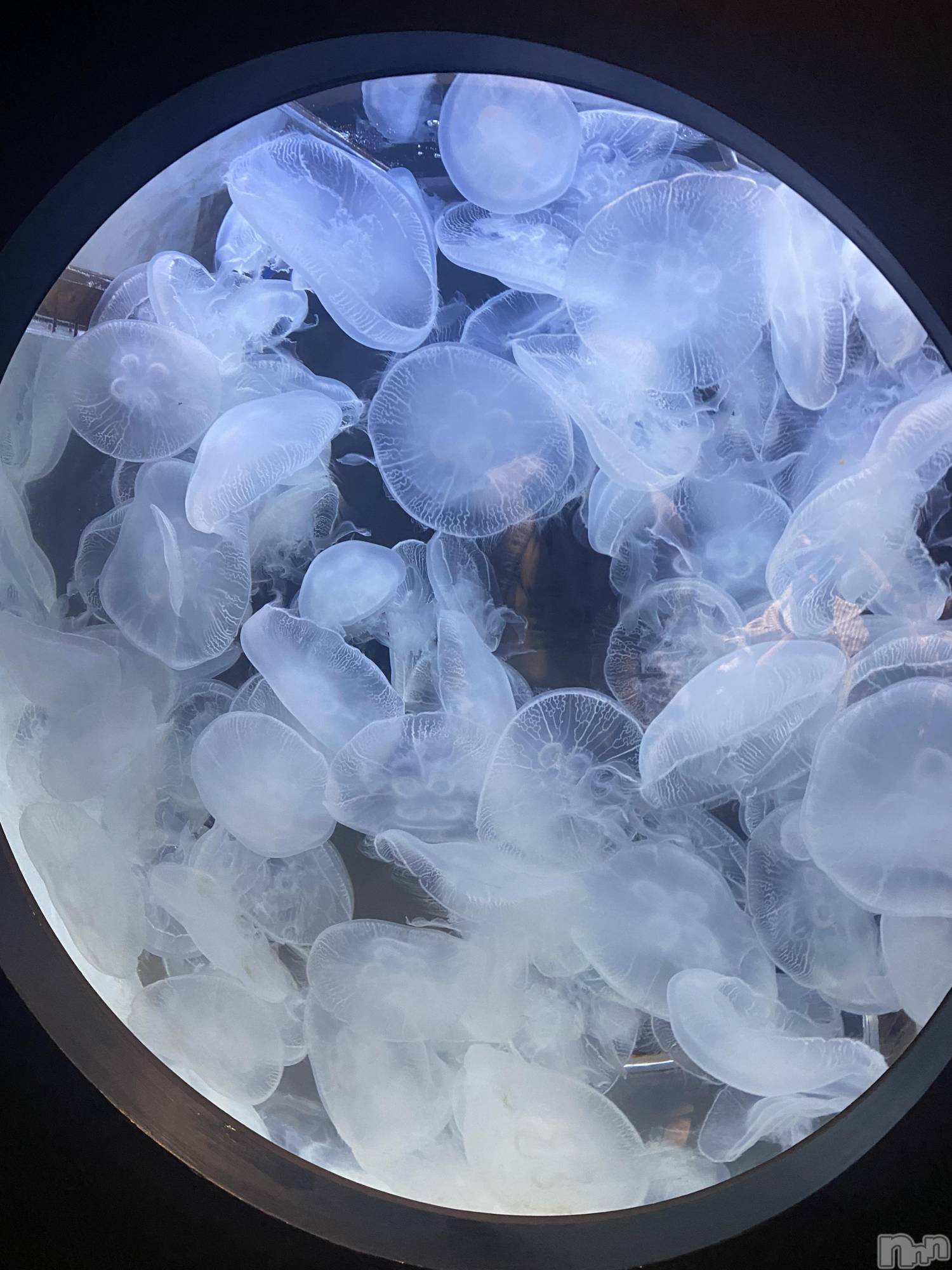 ��ë����Х��顦�����CLUB��Paladin(����֡��ѥ�ǥ���) ��2025ǯ4��9���̥�֥�����🩵ྀི🪼ྀི🩵ྀི��