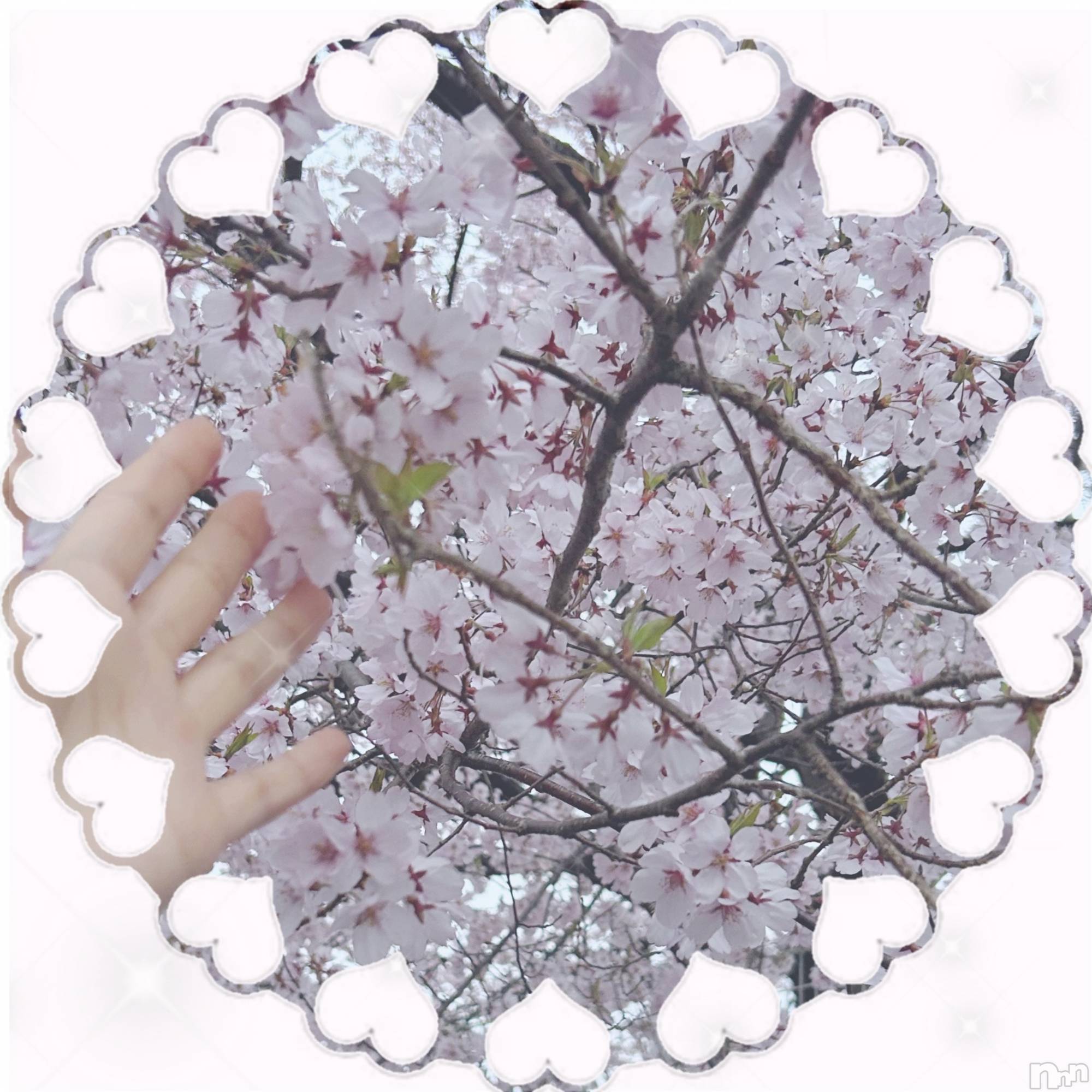 ��ë����Х��顦�����CLUB��Paladin(����֡��ѥ�ǥ���) ��2025ǯ4��20���̥�֥�����🌸🫧��