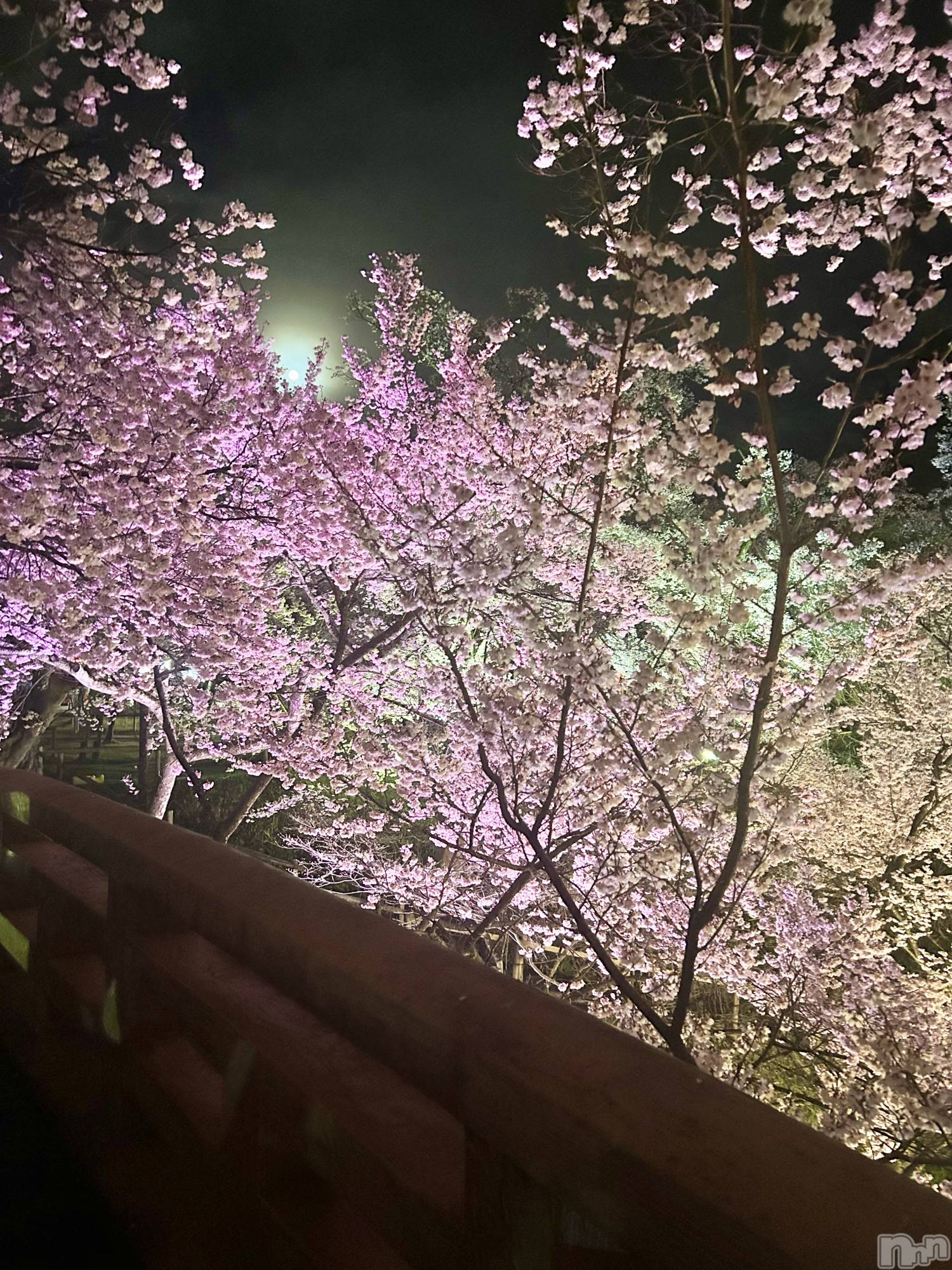 ��ë����Х��顦�����CLUB��Paladin(����֡��ѥ�ǥ���) ��2025ǯ4��25���̥�֥�����🌸➡️🎏��