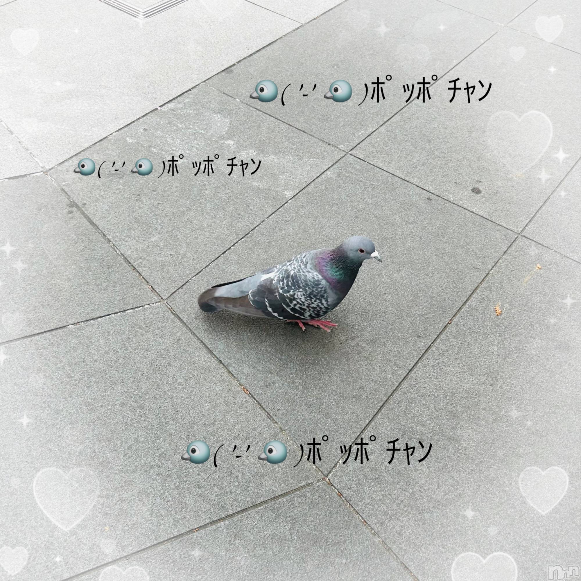 ��ë����Х��顦�����CLUB��Paladin(����֡��ѥ�ǥ���) ��2025ǯ5��12���̥�֥�����(  ���◊���  )�Ύߎ��Ύߡ�