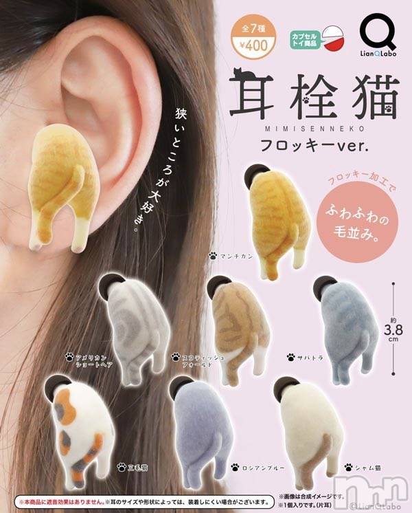 ��ë����Х��顦�����CLUB��Paladin(����֡��ѥ�ǥ���) ��2025ǯ8��31���̥�֥����֤ޤ�����🐈������