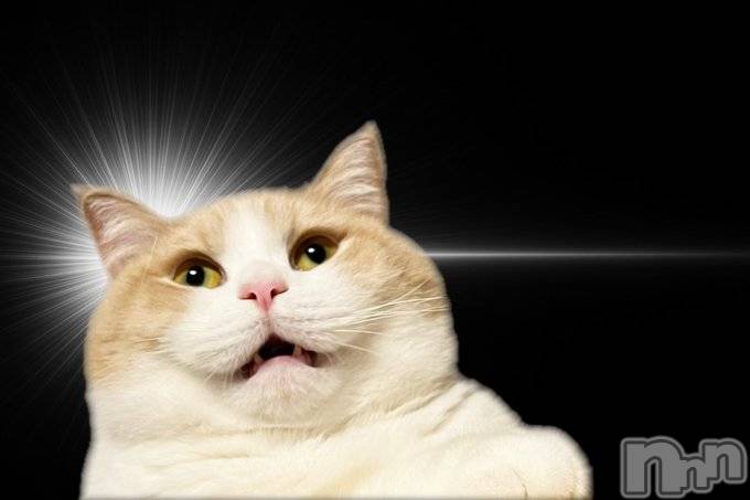 ��ë����Х��顦�����CLUB��Paladin(����֡��ѥ�ǥ���) ��2025ǯ9��1���̥�֥�����9���~🐇🌕��