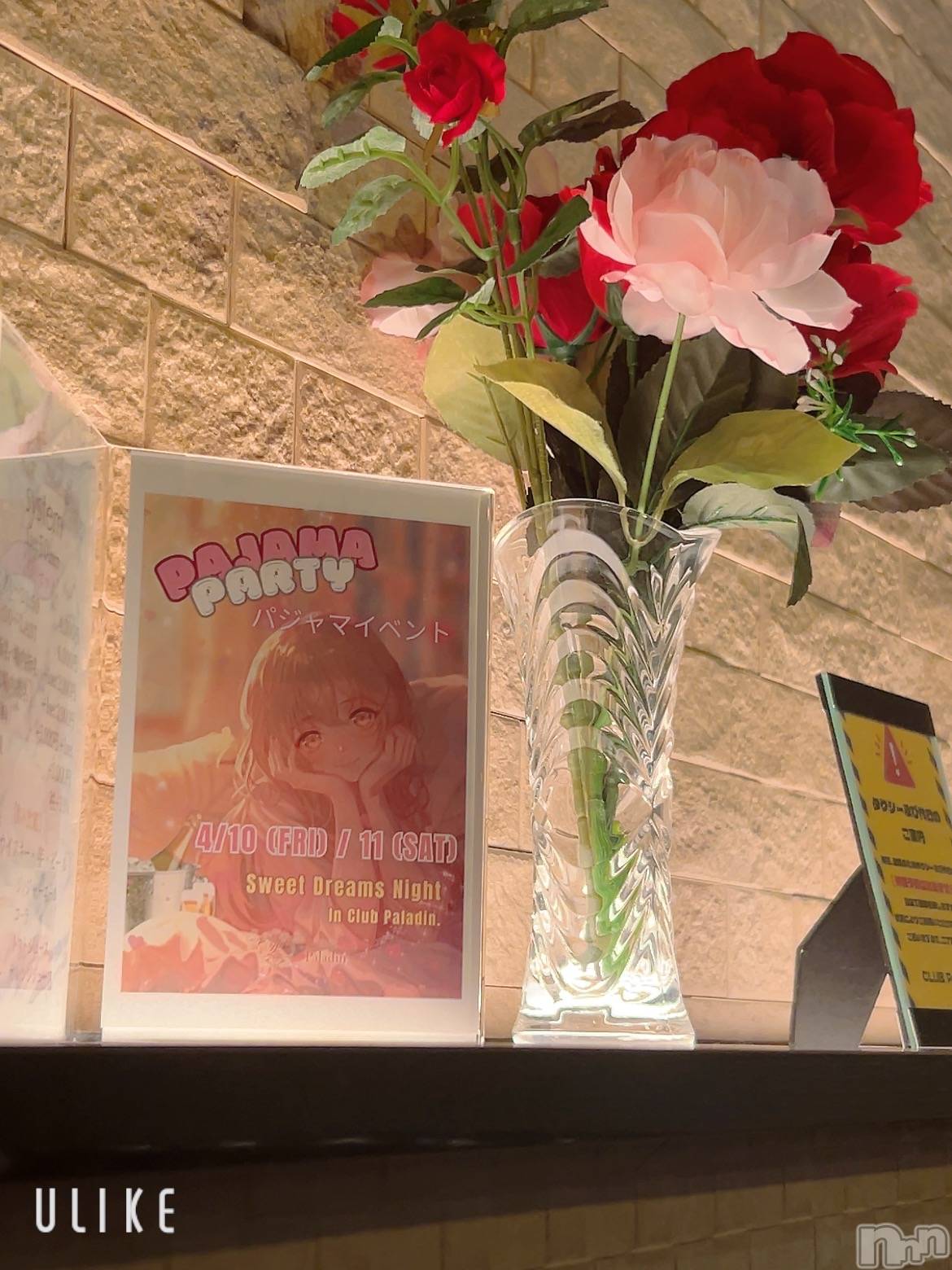 ��ë����Х��顦�����CLUB��Paladin(����֡��ѥ�ǥ���) ��2026ǯ4��11���̥�֥�����✌️��