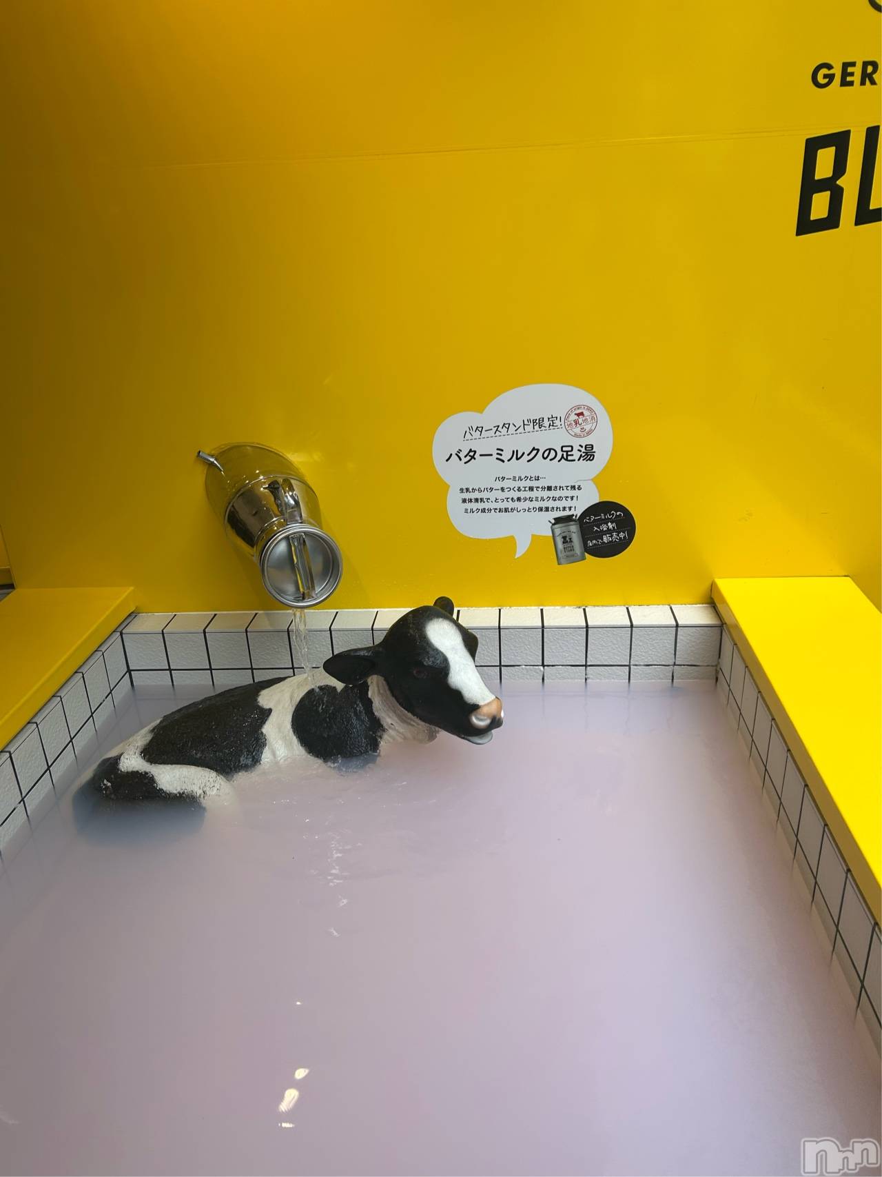 ��ë����Х��顦�����CLUB��Paladin(����֡��ѥ�ǥ���) ��2025ǯ10��16���̥�֥����֤ɤ�����🫣��