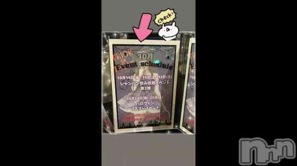 ��⚠️��������⚡��