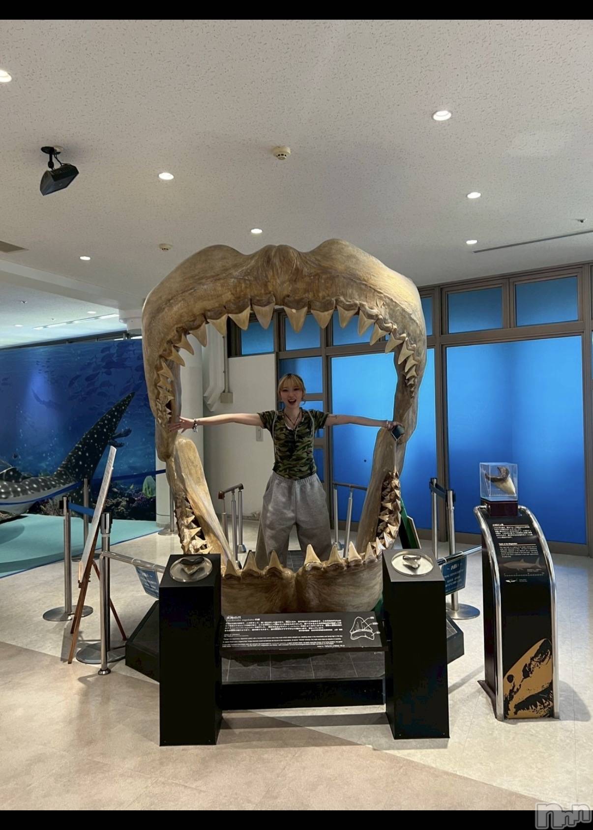 Ĺ��ʥå��������륺�С����פꥹ�ʥå�����ä��礤(���ޥĥꥹ�ʥå�����å��祤) ��2026ǯ3��20���̥�֥����֥�������