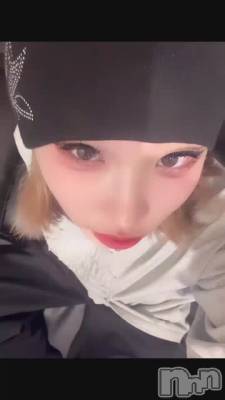 �Ƕ�Τ��������ޤȤ�(����� ؂ �����)