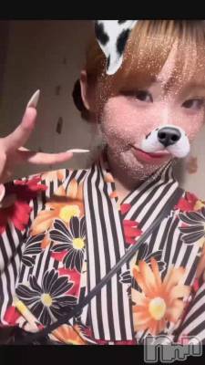 88 1117ʬΥ֥
