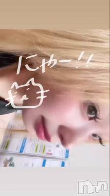 �ˤ㡼�Ǥ�₍ᐢ ɞ̴̶̷.̮ɞ̴̶̷ ᐢ₎​