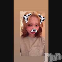 20�Фˤʤ�ޤ�����