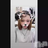 ���� ���٤���🍤