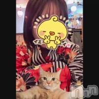 ✨���ʾҲ�✨️