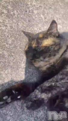 繥繥ǭ💖🐈