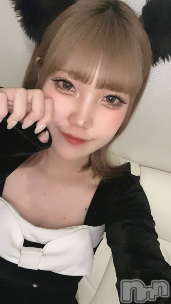 ʥå륺С󥻥ץȥե ˤޤ(󥻥ץȥե˥ޥ륭奦ǥ) 31̥֥31 0005ʬΥ֥