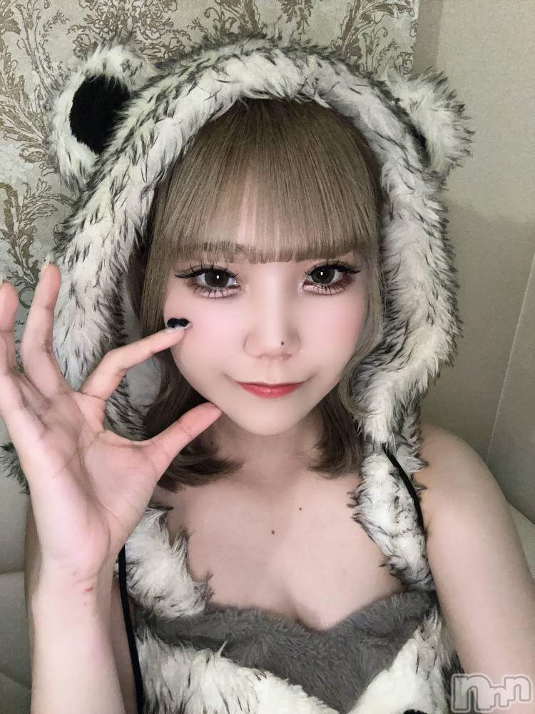 ʥå륺С󥻥ץȥե ˤޤ(󥻥ץȥե˥ޥ륭奦ǥ) 52̥֥GW💫💫
