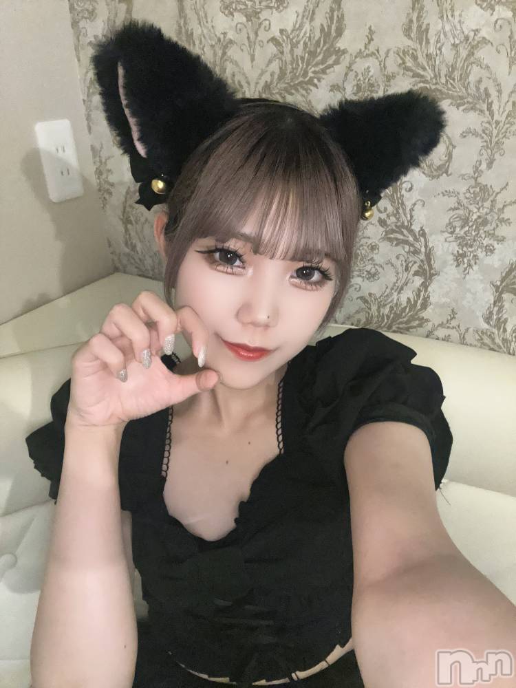 ʥå륺С󥻥ץȥե ˤޤ(󥻥ץȥե˥ޥ륭奦ǥ) 72̥֥Ϥ롪