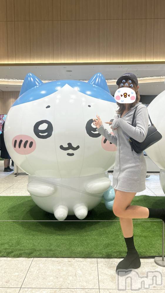 ʥå륺С󥻥ץȥե ˤޤ(󥻥ץȥե˥ޥ륭奦ǥ) 103̥֥֤Ϥ졪