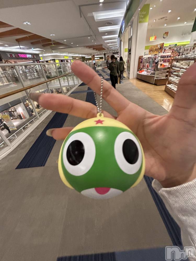 ʥå륺С󥻥ץȥե ˤޤ(󥻥ץȥե˥ޥ륭奦ǥ) 1030̥֥1030 1309ʬΥ֥