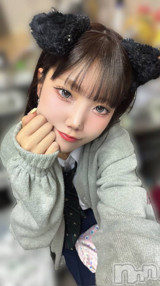 ����������ʥå��������륺�С����󥻥ץȥ��ե� ���ˤޤ����(���󥻥ץȥ��ե����˥ޥ륭�奦�ǥ�) ����4��24���̥�֥�������������Ф�����