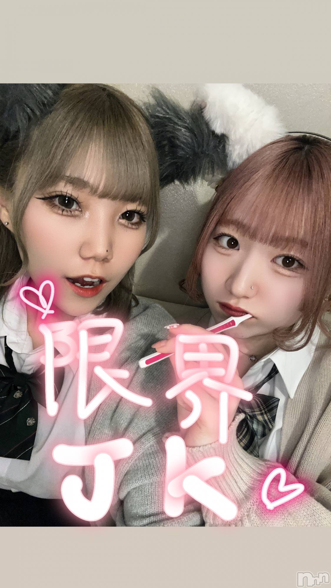 ʥå륺С󥻥ץȥե ˤޤ(󥻥ץȥե˥ޥ륭奦ǥ) 2025ǯ426̥֥( •̥̥̥•̥̥̥`)1!