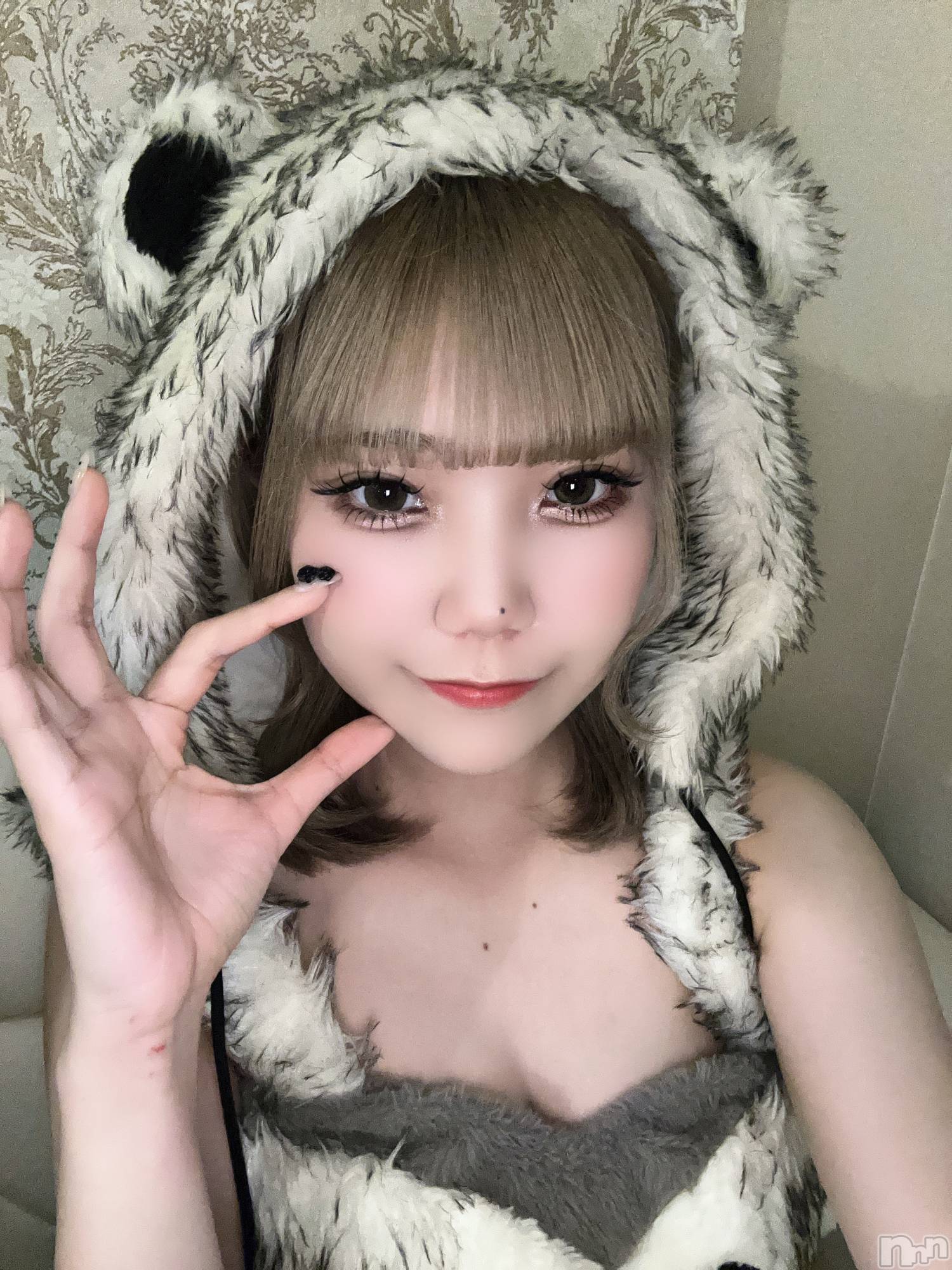 ʥå륺С󥻥ץȥե ˤޤ(󥻥ץȥե˥ޥ륭奦ǥ) 2025ǯ52̥֥GW💫💫