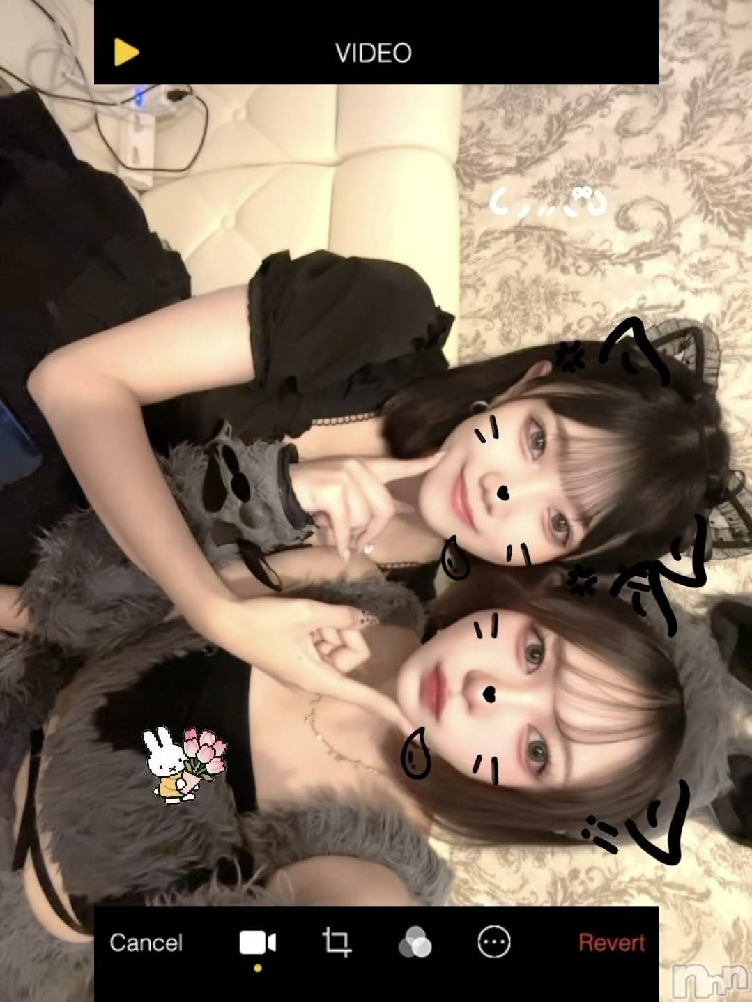 ����������ʥå��������륺�С����󥻥ץȥ��ե� ���ˤޤ����(���󥻥ץȥ��ե����˥ޥ륭�奦�ǥ�) ��2026ǯ10��14���̥�֥�����10��14�� 20��09ʬ�Υ֥�����