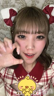 ʥå륺С󥻥ץȥե ˤޤ(󥻥ץȥե˥ޥ륭奦ǥ) 215̥֥215 2336ʬΥ֥