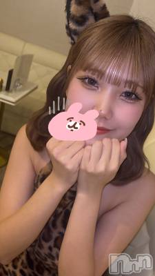 ʥå륺С󥻥ץȥե ˤޤ(󥻥ץȥե˥ޥ륭奦ǥ) 227̥֥227 0039ʬΥ֥