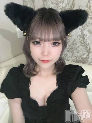 ʥå륺С󥻥ץȥե ˤޤ(󥻥ץȥե˥ޥ륭奦ǥ) 630̥֥(๑>؂<๑)