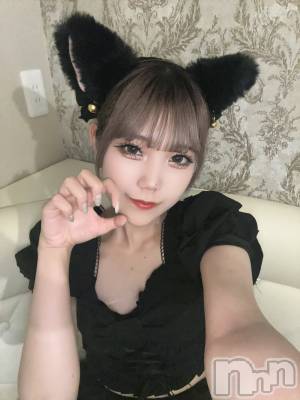 ʥå륺С󥻥ץȥե ˤޤ(󥻥ץȥե˥ޥ륭奦ǥ) 72̥֥Ϥ롪