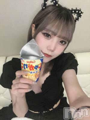 ʥå륺С󥻥ץȥե ˤޤ(󥻥ץȥե˥ޥ륭奦ǥ) 73̥֥73 2308ʬΥ֥