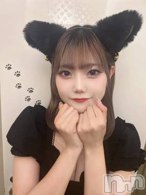 ʥå륺С󥻥ץȥե ˤޤ(󥻥ץȥե˥ޥ륭奦ǥ) 712ֱ̥֥襤衼