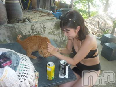 ����������ʥå��������륺�С����󥻥ץȥ��ե� ���ˤޤ����(���󥻥ץȥ��ե����˥ޥ륭�奦�ǥ�) ����5��6���̥�֥��������ٰ����ޤ���😸��